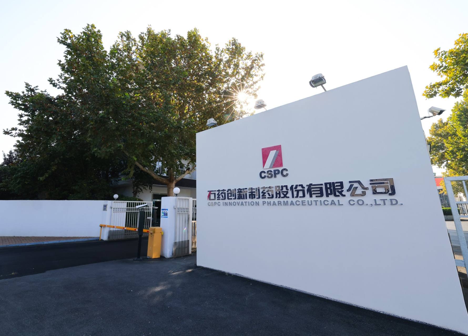 公司新闻_6008集团官方网站