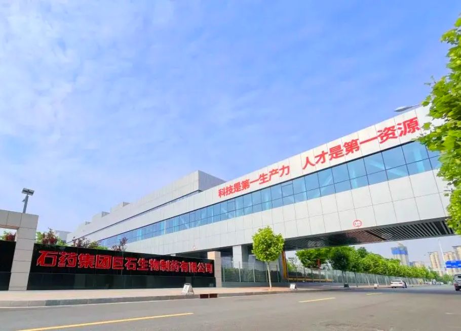 公司新闻_6008集团官方网站