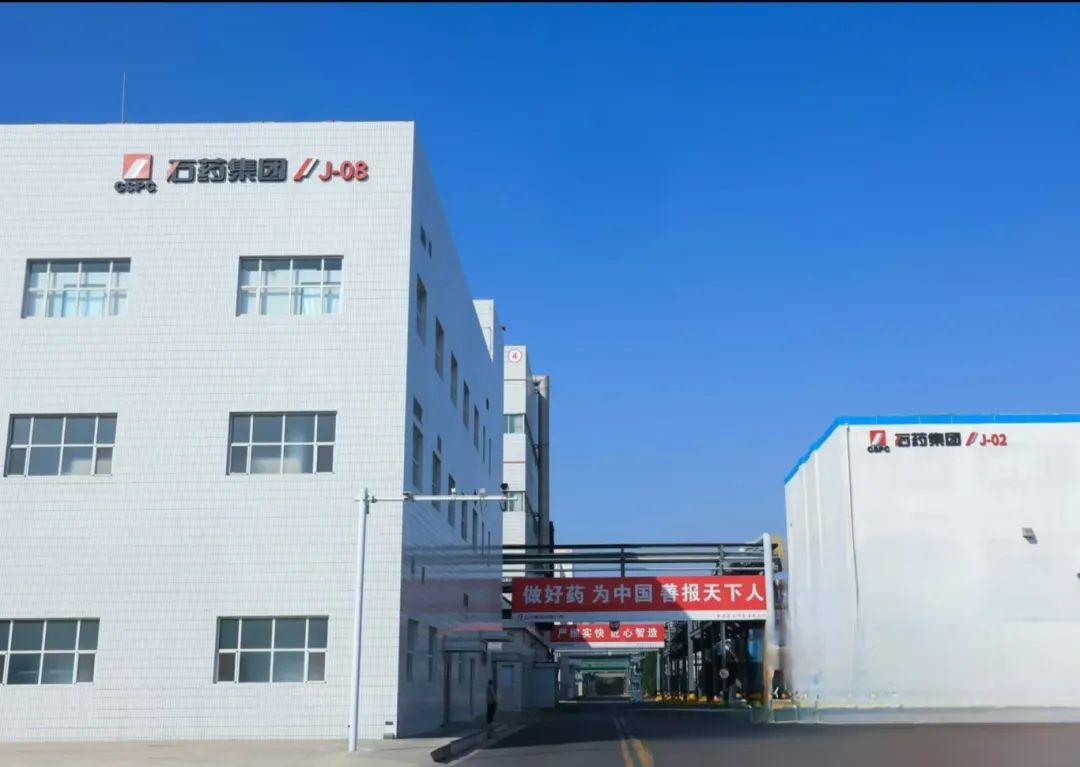 公司新闻_6008集团官方网站