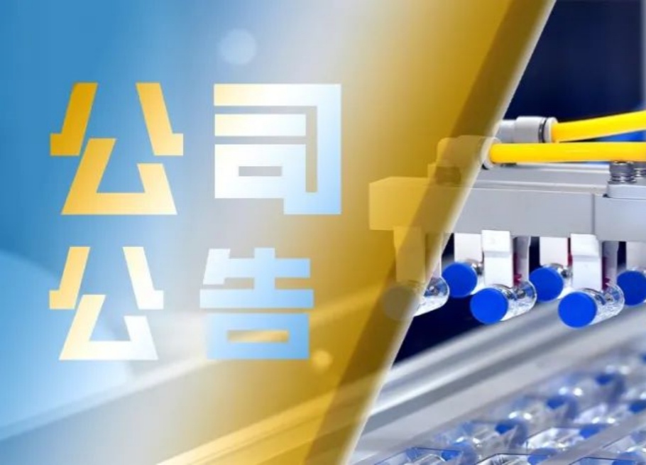 公司新闻_6008集团官方网站